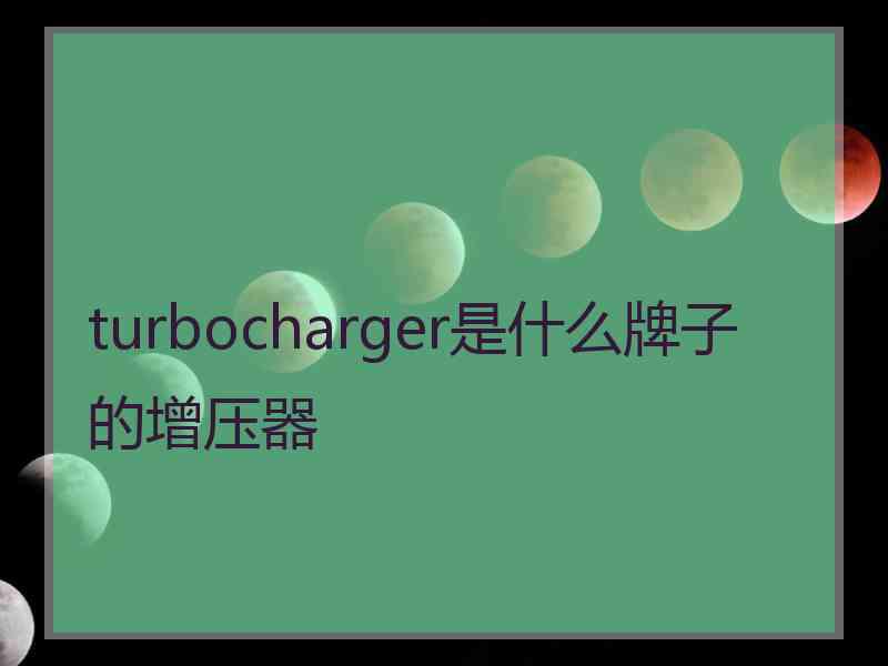 turbocharger是什么牌子的增压器