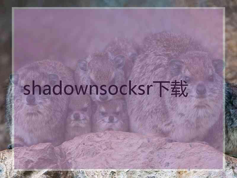 shadownsocksr下载