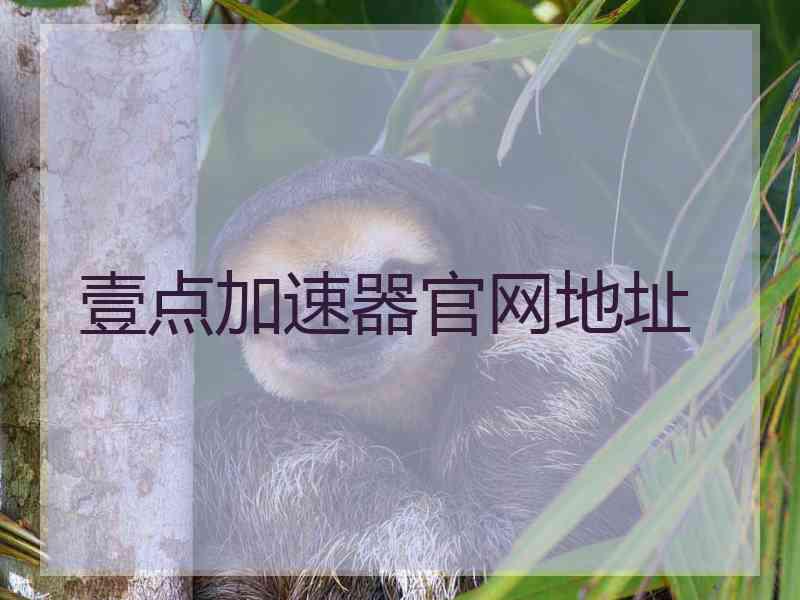 壹点加速器官网地址