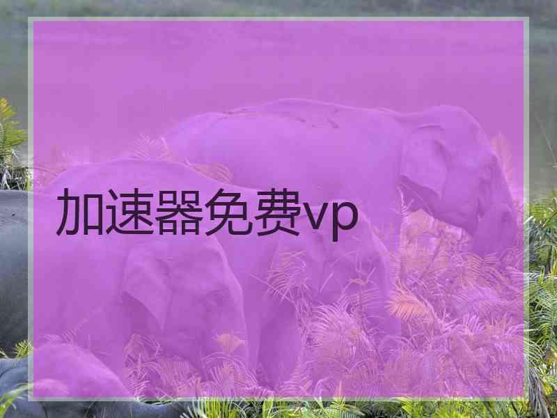 加速器免费vp