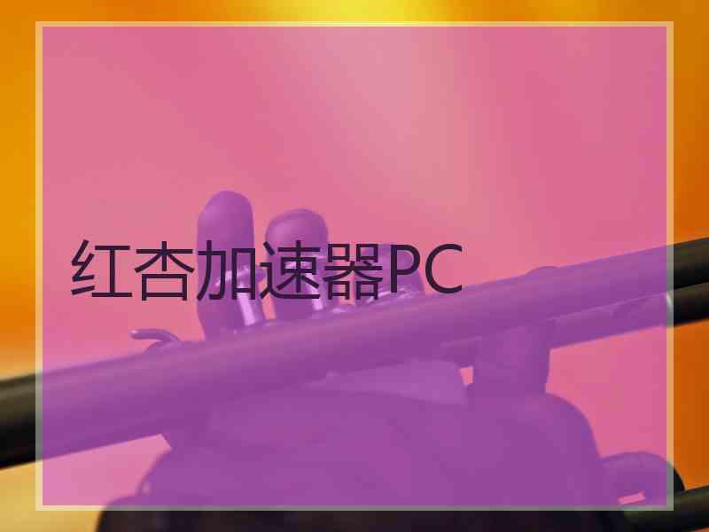 红杏加速器PC