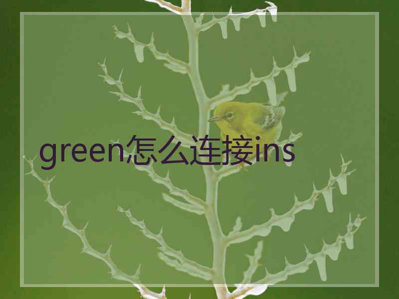 green怎么连接ins