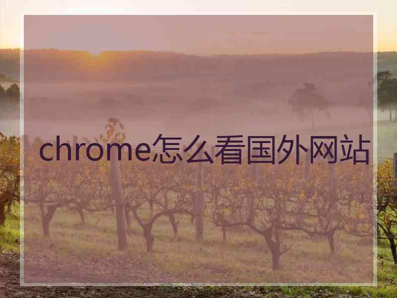 chrome怎么看国外网站