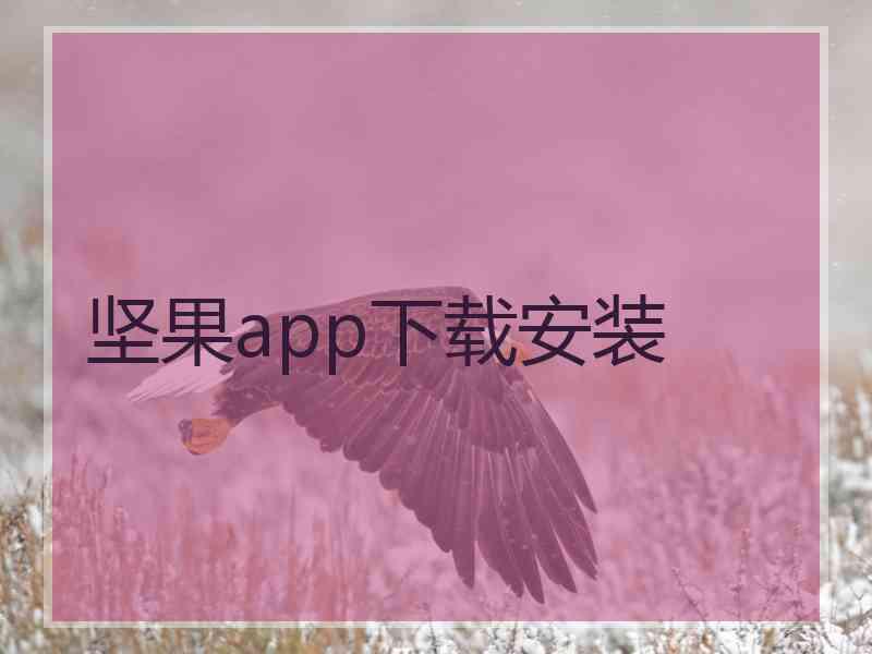 坚果app下载安装