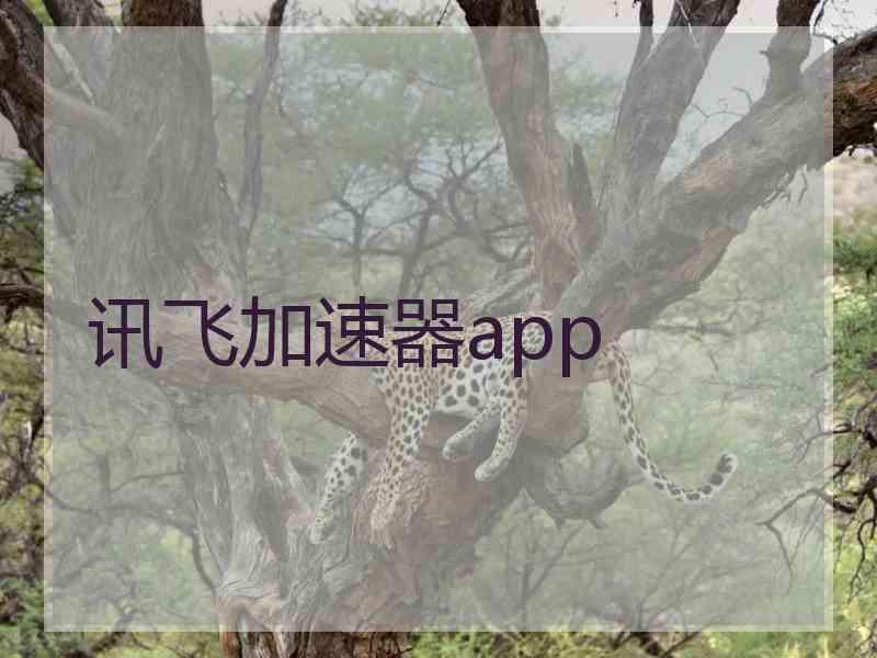 讯飞加速器app