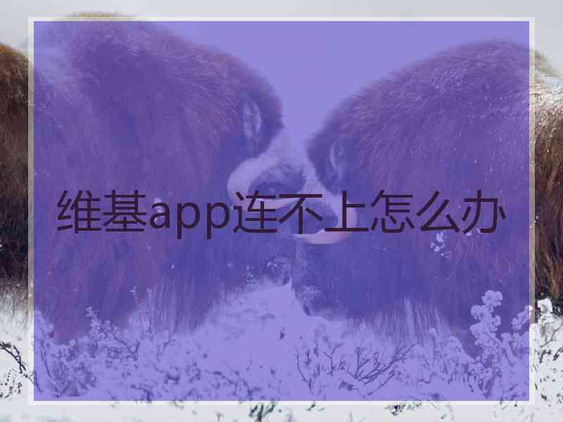 维基app连不上怎么办