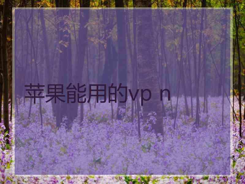 苹果能用的vp n