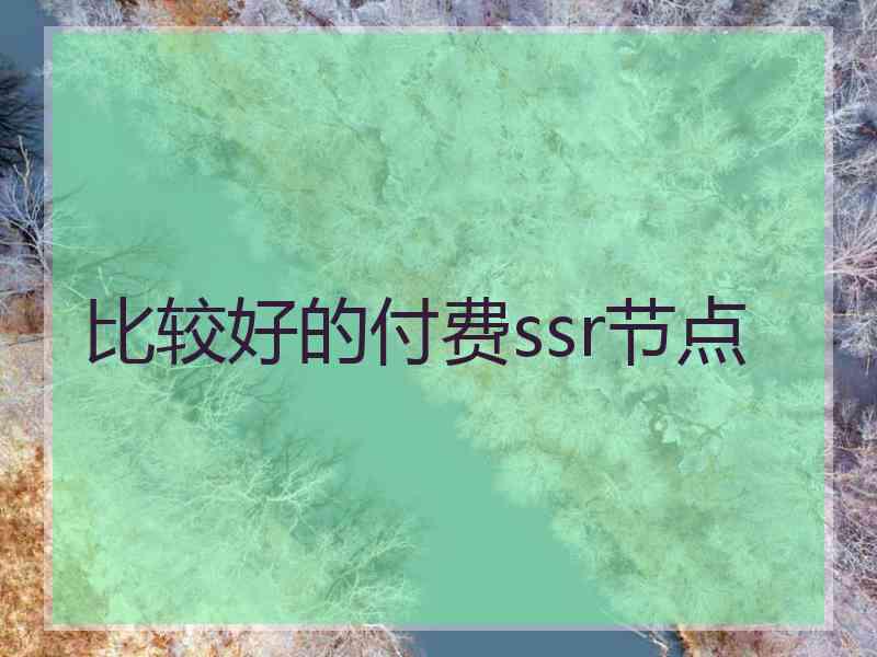 比较好的付费ssr节点