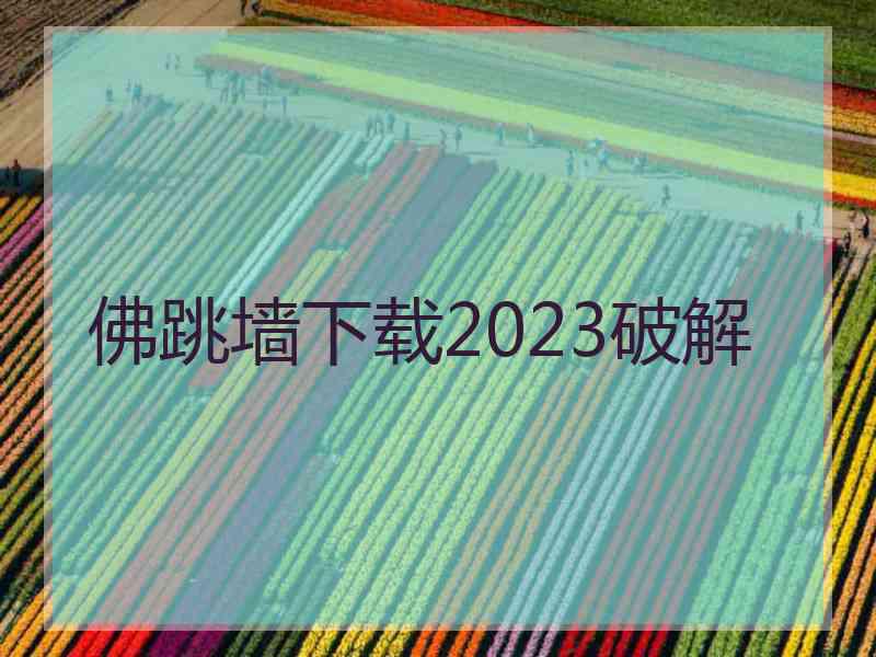 佛跳墙下载2023破解