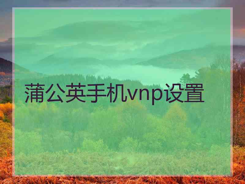 蒲公英手机vnp设置