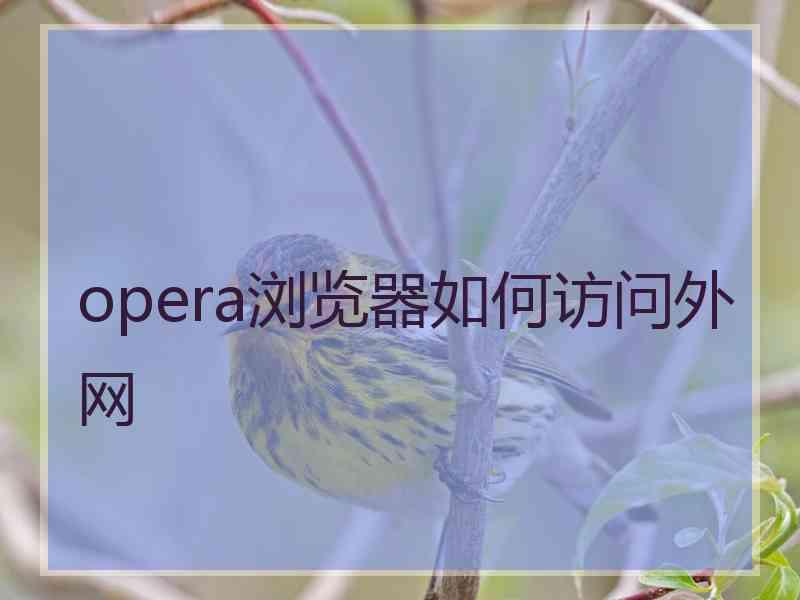 opera浏览器如何访问外网