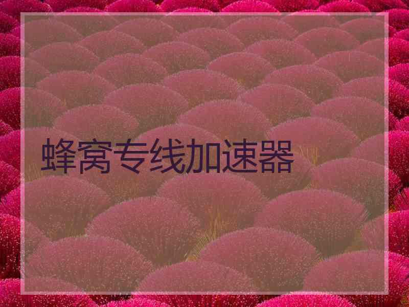 蜂窝专线加速器