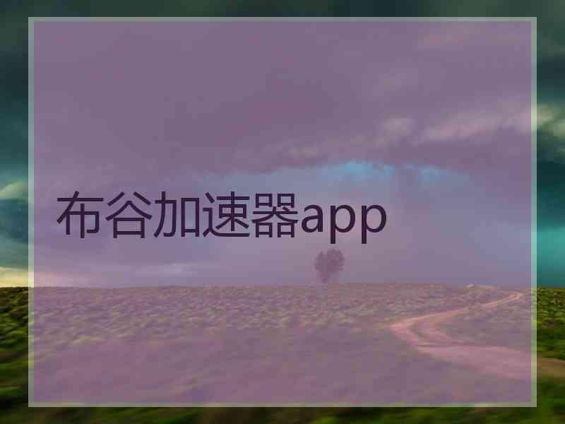 布谷加速器app