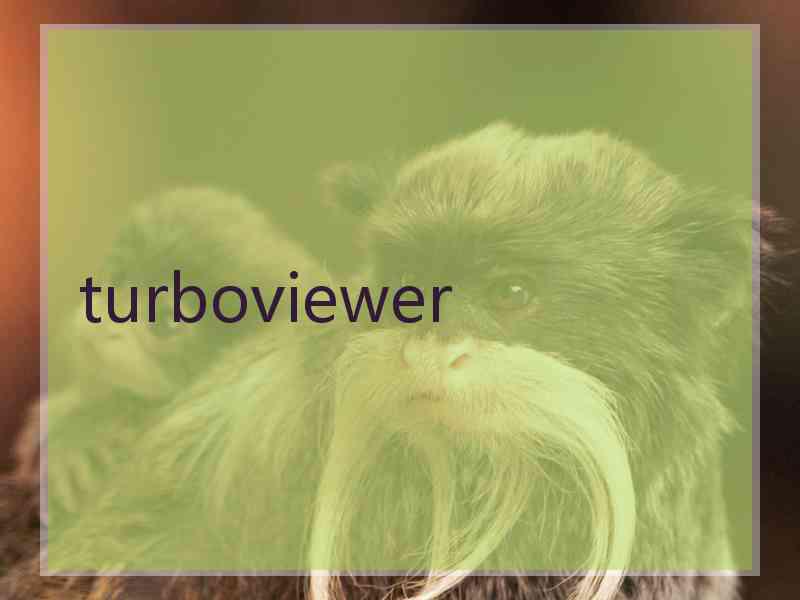 turboviewer