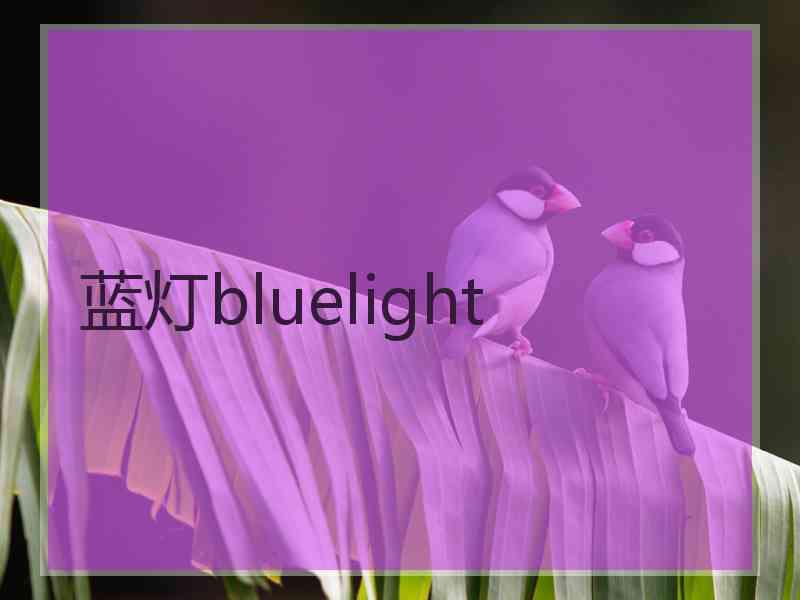 蓝灯bluelight