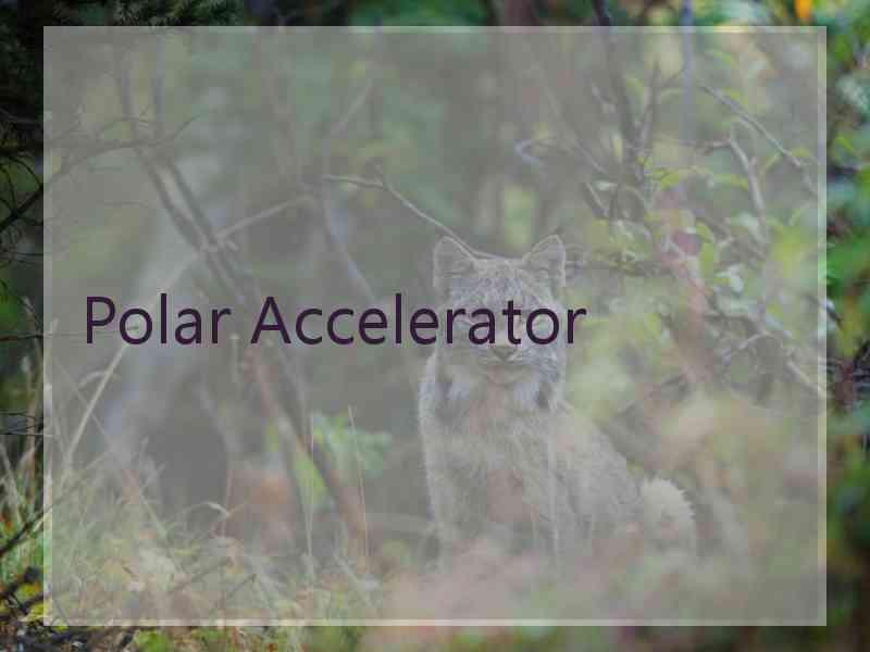 Polar Accelerator