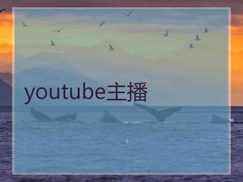 youtube主播