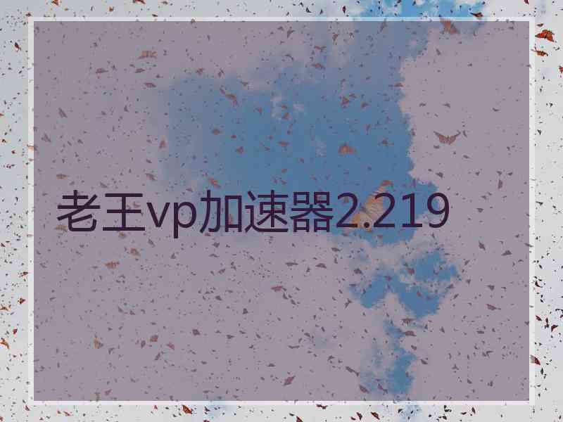 老王vp加速器2.219