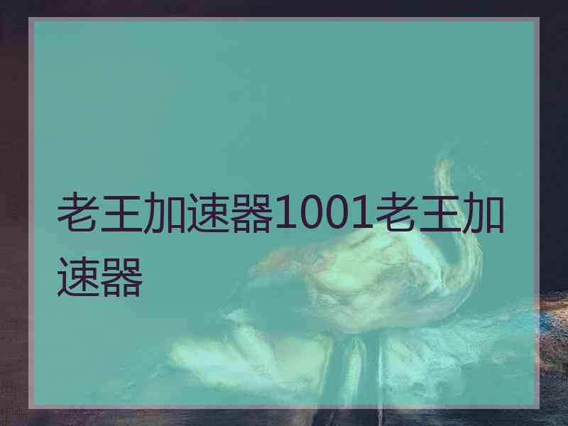 老王加速器1001老王加速器