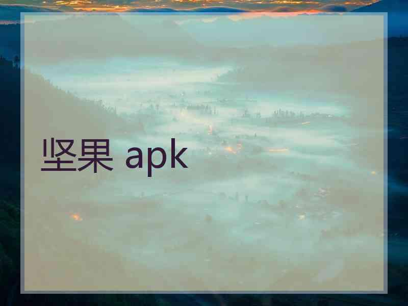 坚果 apk