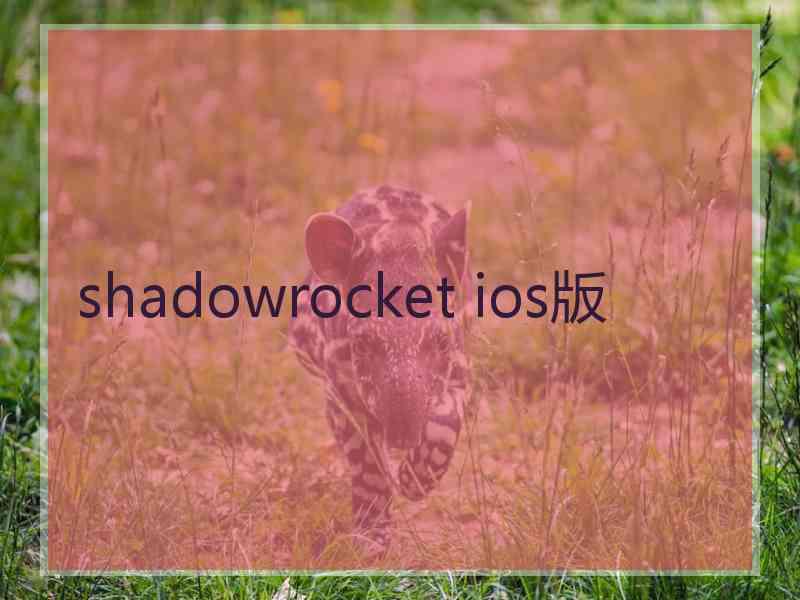 shadowrocket ios版