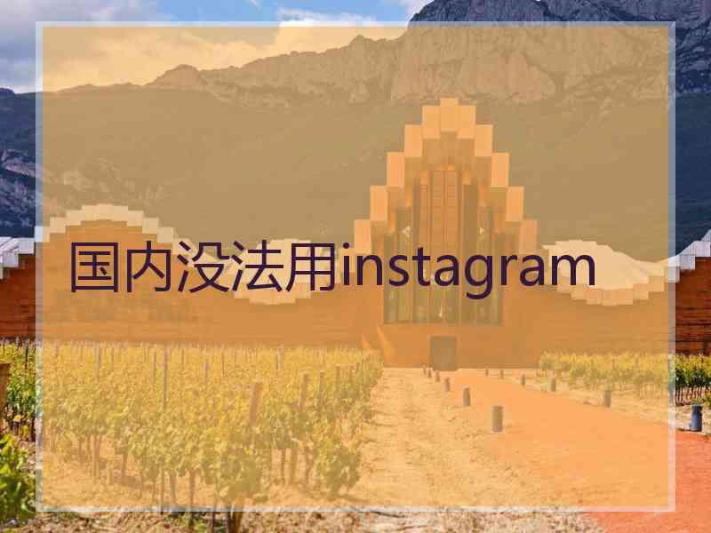 国内没法用instagram