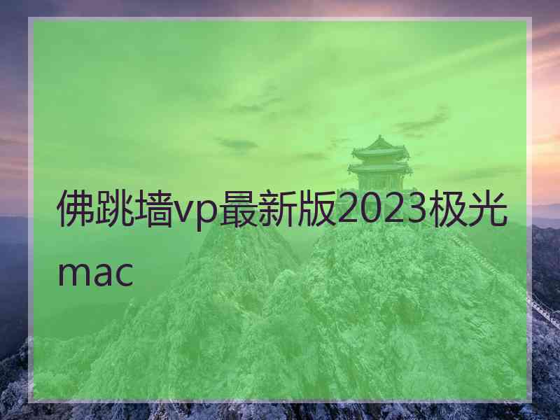 佛跳墙vp最新版2023极光 mac