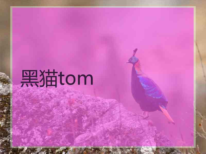 黑猫tom