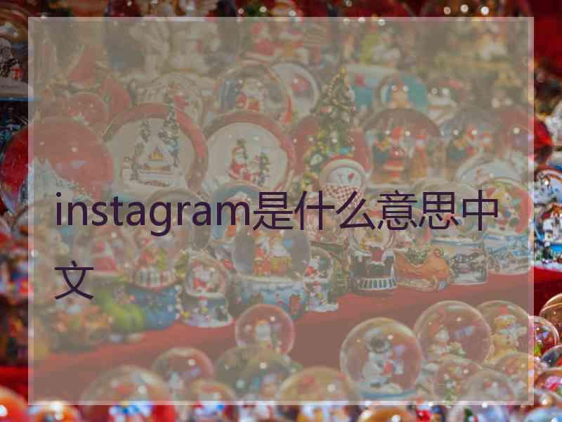 instagram是什么意思中文