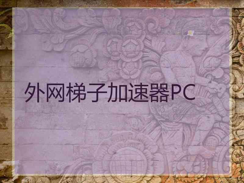 外网梯子加速器PC