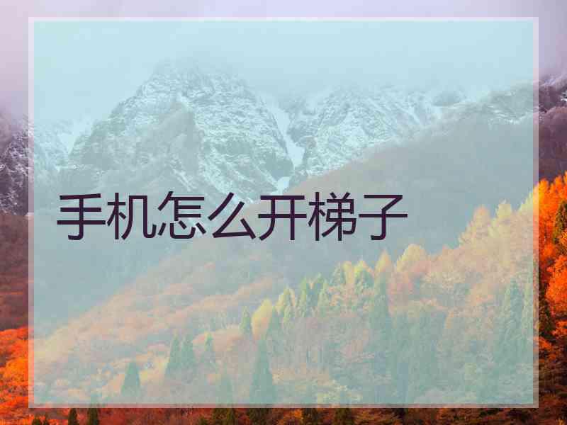 手机怎么开梯子