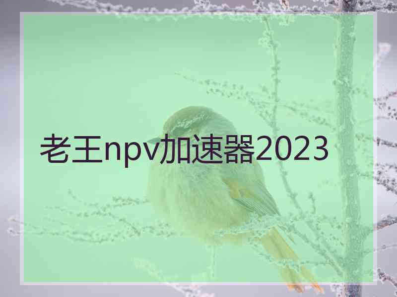 老王npv加速器2023