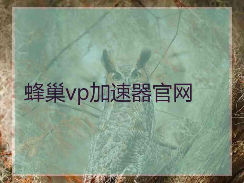 蜂巢vp加速器官网