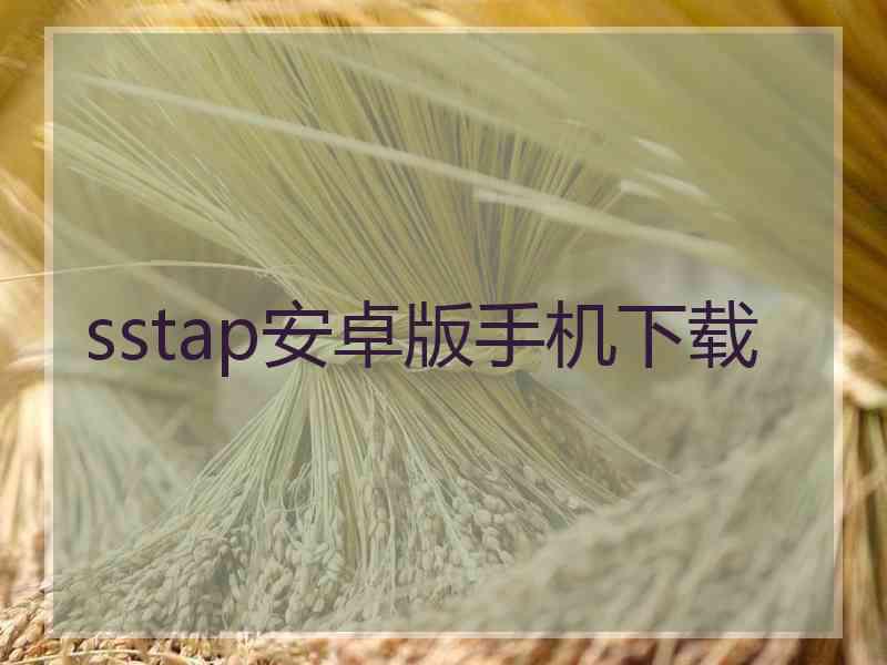 sstap安卓版手机下载