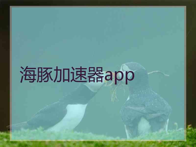 海豚加速器app