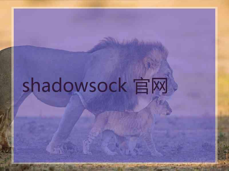 shadowsock 官网