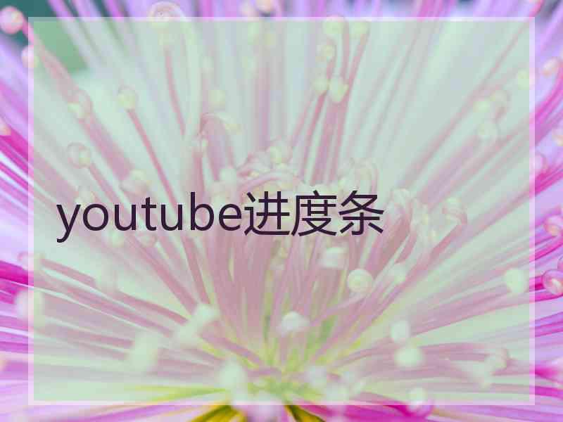 youtube进度条