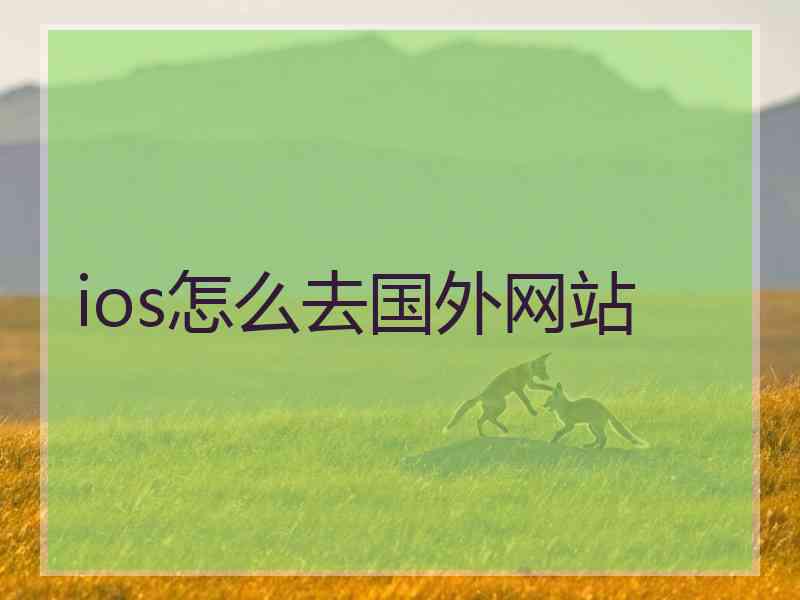 ios怎么去国外网站