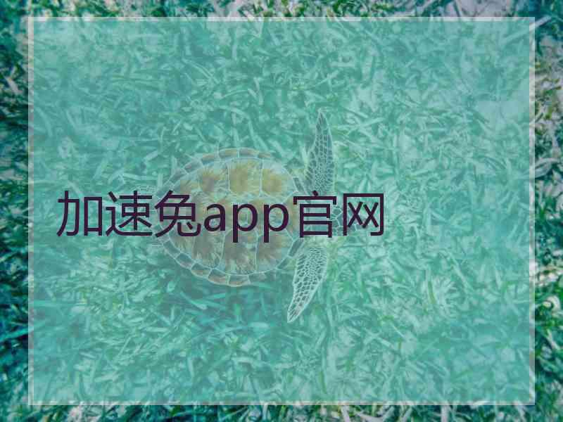 加速兔app官网