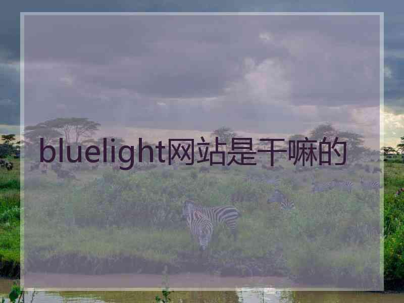 bluelight网站是干嘛的