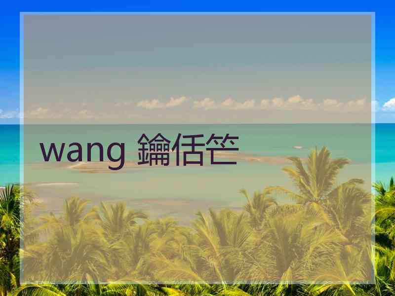 wang 鑰佸笀