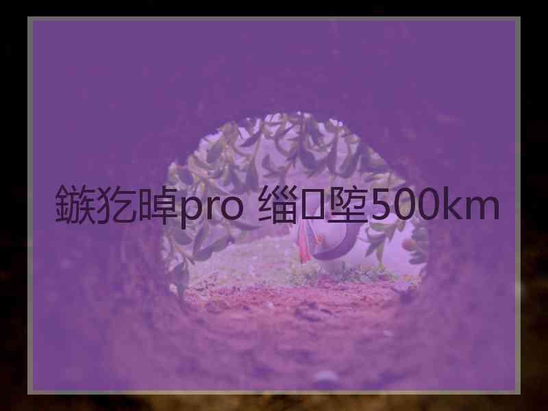 鏃犵晫pro 缁埅500km