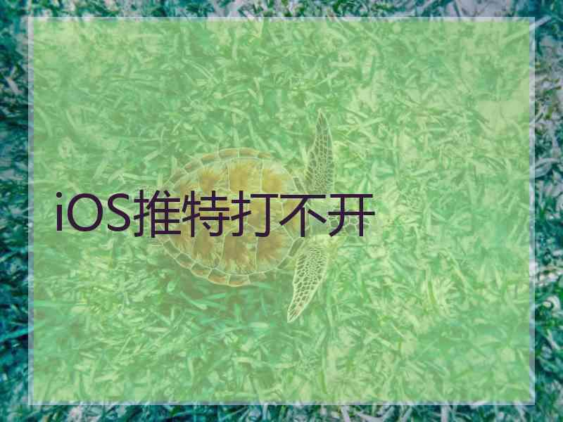 iOS推特打不开