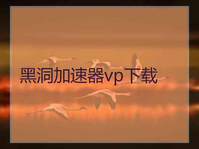 黑洞加速器vp下载