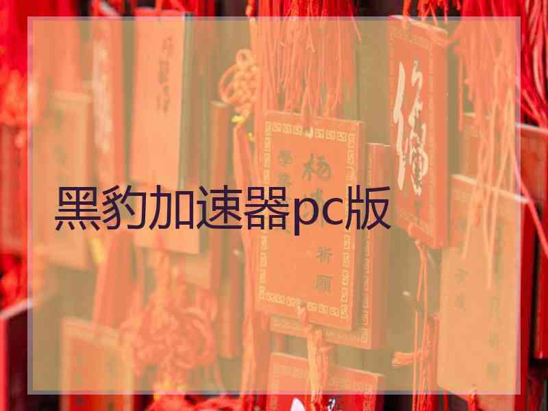 黑豹加速器pc版