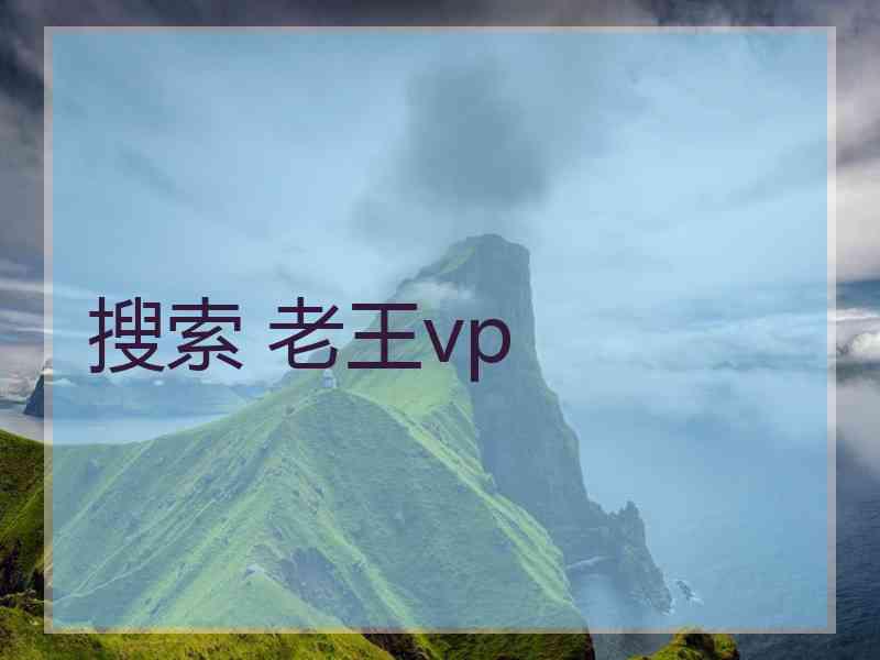 搜索 老王vp