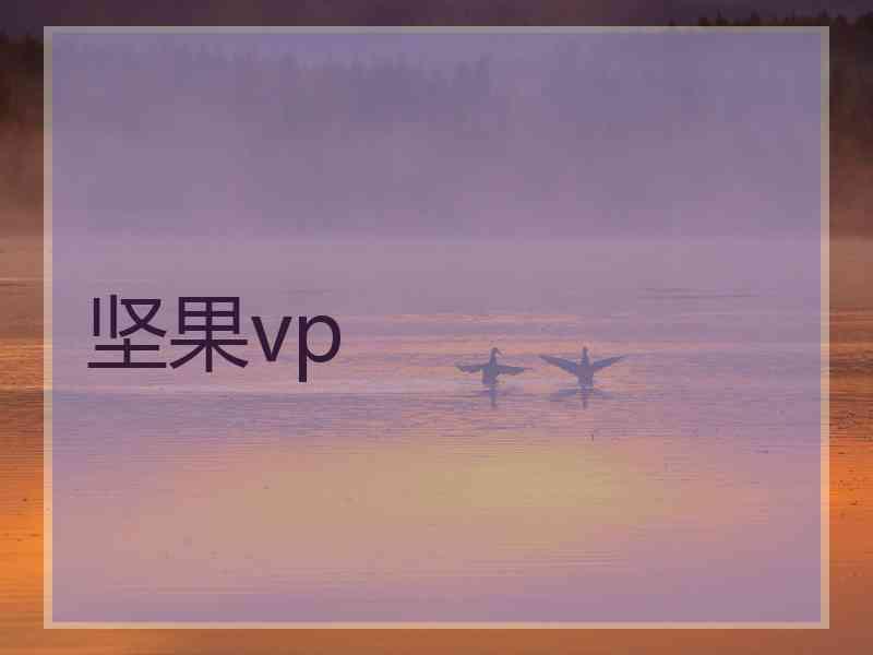 坚果vp