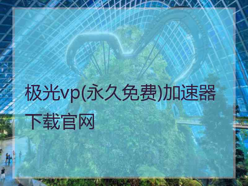 极光vp(永久免费)加速器下载官网