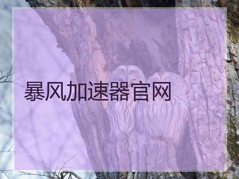 暴风加速器官网