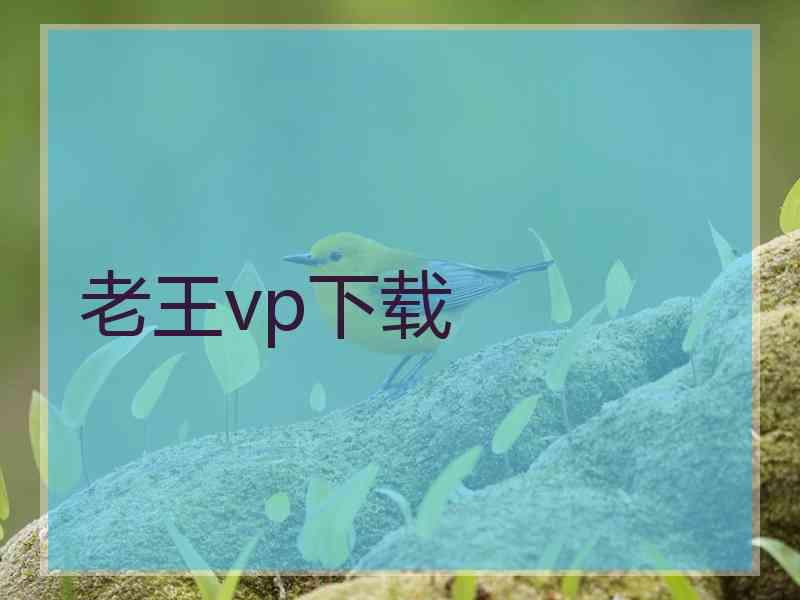 老王vp下载